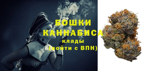 PSILOCYBIN Приозерск