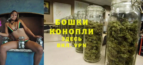 PSILOCYBIN Приозерск
