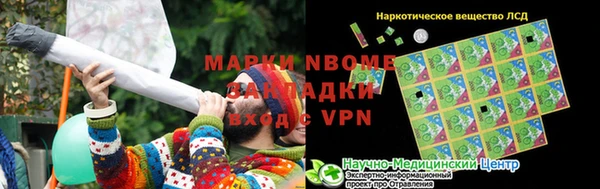 PSILOCYBIN Приозерск