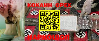 дживик Моздок