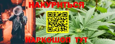 дживик Моздок