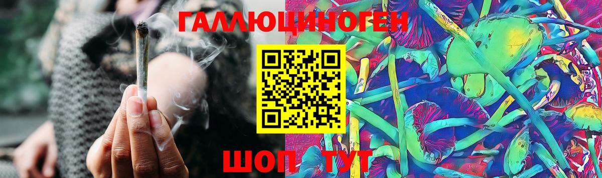 Псилоцибиновые грибы мицелий  Сокол 