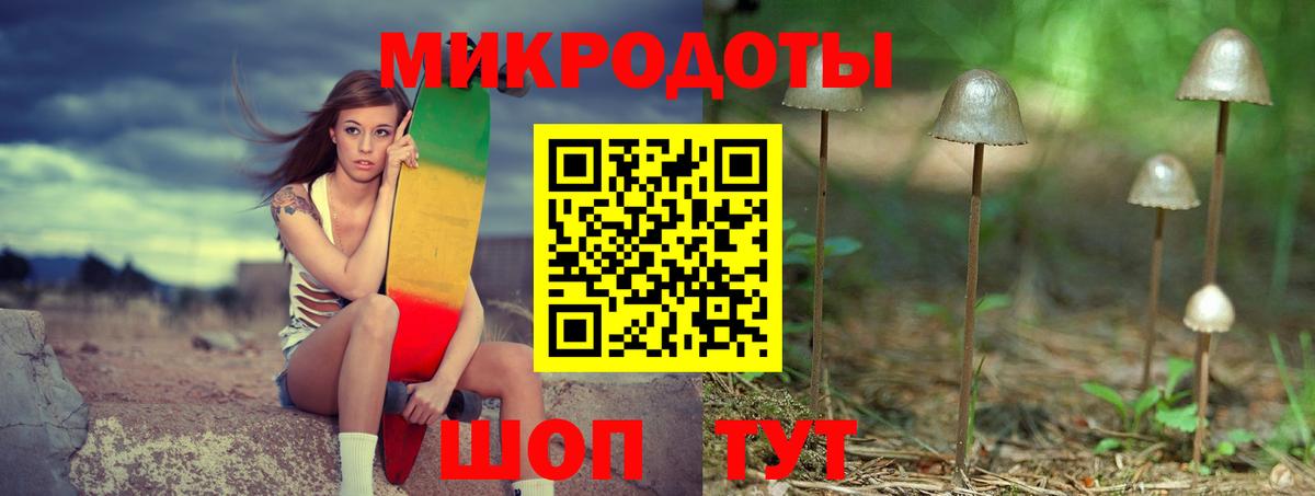 Псилоцибиновые грибы GOLDEN TEACHER Сокол
